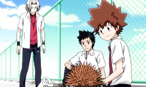 [subs] ep 005 - Katekyo Hitman Reborn! [MelodicVoiceStudio]