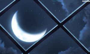 Shadow 01