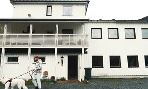 ЭПИЧЕСКИЙ РОУД-ТРИП по Скандинавии. До Лофотен на машине с семьей и собакой