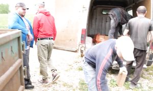 Продолжаем строить La Binocle. Поменяли проект. Демонтаж. Канализация. Окна.