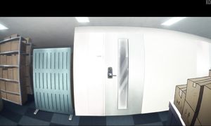 zom 100 ep 1