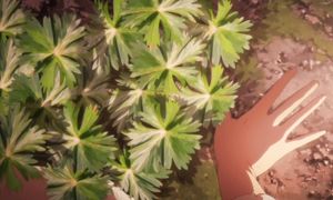 Kinos journey ep6