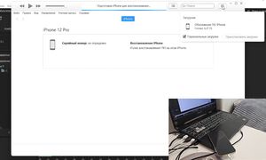 Много раз ввел неправильно пароль на айфоне и теперь пишет устройство недоступно