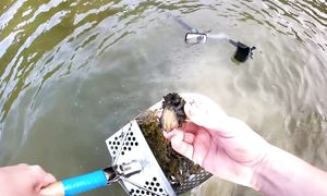 ЭТО ЗВИЗДЕЦ!!! Такого я еще не находил... глазам не верил что в воде такое можно найти!