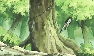 Naruto - 035 - The Scroll's Secret, No Peeking Allowed   [DarkDream]