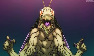 Jujutsu Kaisen - S2 EP8