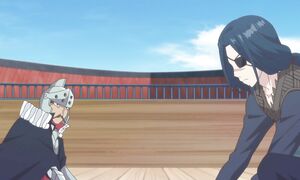 [SaloVpalo] Radiant - 09 [1080p]