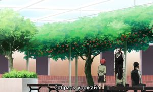 Ancient Magus Bride S2 - 17 [SUB]