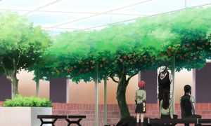 Ancient Magus Bride S2 - 17 [DUB]