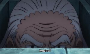 [SaloVpalo] One Piece - 1082 (1080p) SUB