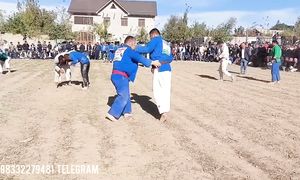 ZOXID POLVON SHANKAR POLVON KATTA KURASH