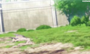 shangri-la seria 6