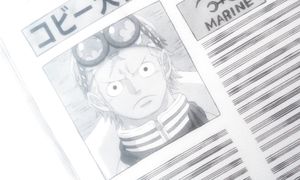 [SaloVpalo] One Piece - 1088 (1080p)