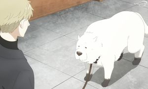 Spy x Family S2 - 12 [DUB]