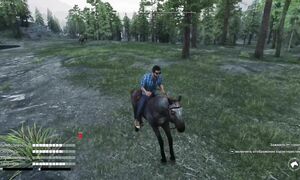 ЕҢ ҚЫМБАТ ЖЫЛҚЫЛАР САТЫП АЛДЫҚ және АТ ШАБУ ЖАРЫС ЖАСАДЫҚ! RАNCH SIMULATOR