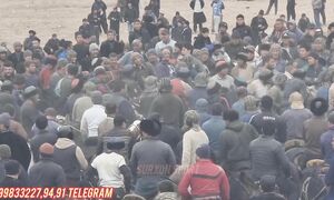 BUGUN SUR QOSH CHOVOĜONLARI SURXONDARYO DENOVDA KATTA KUPKARIDA BUNAQASI BULMAGAN