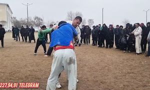 MUZROBOTDA KATTA KURASH TAVOQLAR BOSHLANDI 26.2.2024