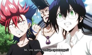 Shaman King Flowers - 11 [SUB]