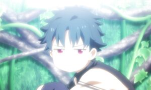 Shin no Nakama S2 - 12 [DUB]