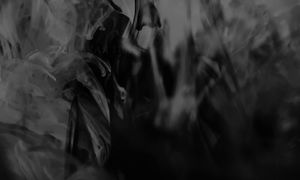 Самые известные Кошки-людоеды,  убившие более 5000 человек. Большой выпуск