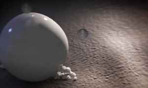 Ты их никогда не увидишь