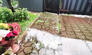 У НАС БЕДА - ВОТ ЧТО НАТВОРИЛ УРАГАН И СТРАШНЫЙ ЛИВЕНЬ - В ЕЛГАВЕ ПОТОП  И ЗАВАЛЫ НА ДОРОГАХ 29 ИЮЛЯ