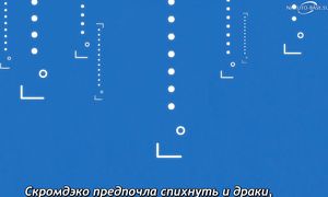 Monogatari - 06 [SUB]
