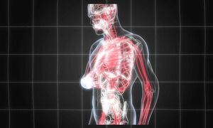 Как ПРОСТАЯ ХОДЬБА может изменить твое ТЕЛО И ЖИЗНЬ?