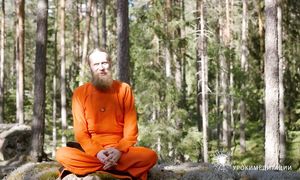 Йога-танцы для молодости мозга. И еще 5 способов восстановить нервные клетки