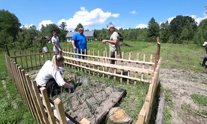 ЖИЗНЬ в ЛЕСНОЙ БЕЛОРУССКОЙ ДЕРЕВНЕ. ОВЦА СДЕЛАЛА ПОДАРОК на ДЕНЬ РОЖДЕНИЕ!!! №309