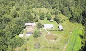 ЛЮДЯМ ИНТЕРЕСНА МОЯ ЖИЗНЬ в ЛЕСУ! ТРУДОЛЮБИВЫХ ЛЮДЕЙ, ЛЕС КОРМИТ. №313