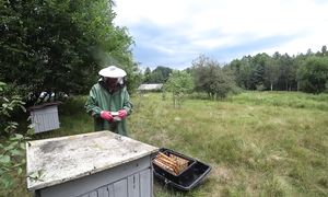 МОЯ ЖИЗНЬ в ГЛУХОЙ БЕЛОРУССКОЙ ДЕРЕВНЕ в ЛЕСУ. ТАКОГО ЗВЕРСТВА в ЖИЗНИ не ВИДЕЛ! №314