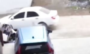 Приколы с котами! С ОЗВУЧКОЙ! Смешные коты и собаки! Самые Смешные Животные! До слез!