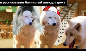 ПРИКОЛЫ! МЕМЫ! Ржака до слёз! Засмеялся проиграл! ТЕСТ НА ПСИХИКУ! Смешные видео от Доми шоу!