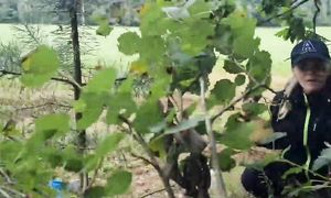 Наша ЖИЗНЬ В ДЕРЕВНЕ в гармонии с природой Дары невероятно красивого леса