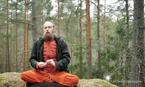 Сколько жизни в твоей жизни Как за три дня восстановить энергию