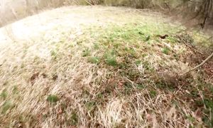 Нет, нет! Денег конечно нашел, но сейчас очень опасно! Если схватит пиши - пропало!