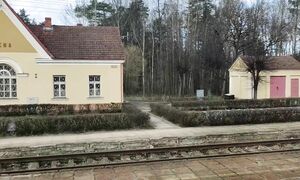 РИСКНУЛИ ПОЕХАТЬ ИЗ ЕЛГАВЫ В РИГУ НА НОВОЙ ЭЛЕКТРИЧКЕ . УВИДЕЛИ НЕДОСТРОЙ ВЕЛИКИЙ ПРОЕКТ ВЕКА