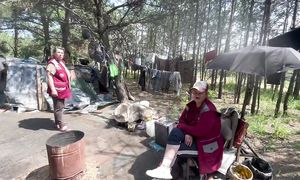 Люди леса как прошел снос Лена в кругу друзей Мусорщик