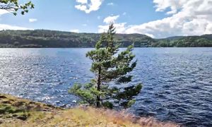 Ларвик: как живёт и выглядит обычная норвежская провинция