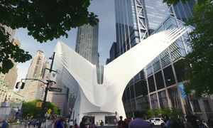 НЬЮ-ЙОРК который ты полюбишь! Топ мест для прогулок с детьми и не только!