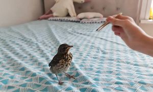 КАНАЛИЗАЦИЯ,ФАСАД,ТЕРРАСА!!ПРОЕКТ 117!ЧАСТЬ 9!