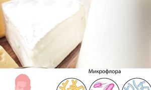 Три Баланса для Железного Иммунитета: Мой Путь к Здоровью в 63 Года