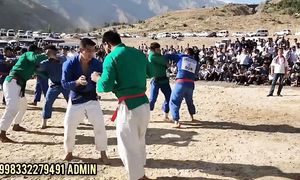Bugun Surxondaryoda katta kurash buldi tavoqlar boshlandi