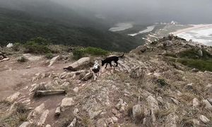 PIERDO MI TIMIDEZ EN BRASIL