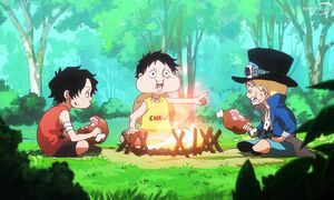 One Piece - 1119 [DUB]