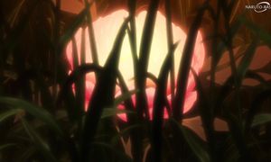 Sengoku Youko - 28 [SUB]