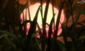 Sengoku Youko - 28 [DUB]