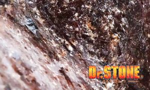 Dr_ STONE_S01E16_LEGENDADO