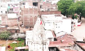 Панарский Леопард. Зверь-людоед, убивший 400 человек